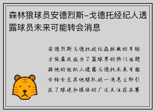 森林狼球员安德烈斯-戈德托经纪人透露球员未来可能转会消息